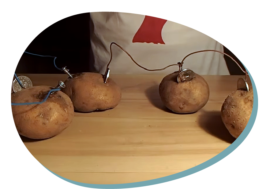 Prąd z ziemniaka – fizyka w praktyce