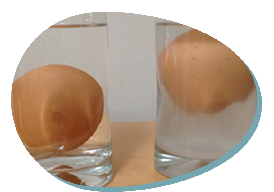 Egg and salt floating experiment