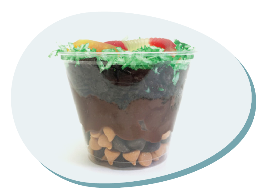 Learn about the soil layers