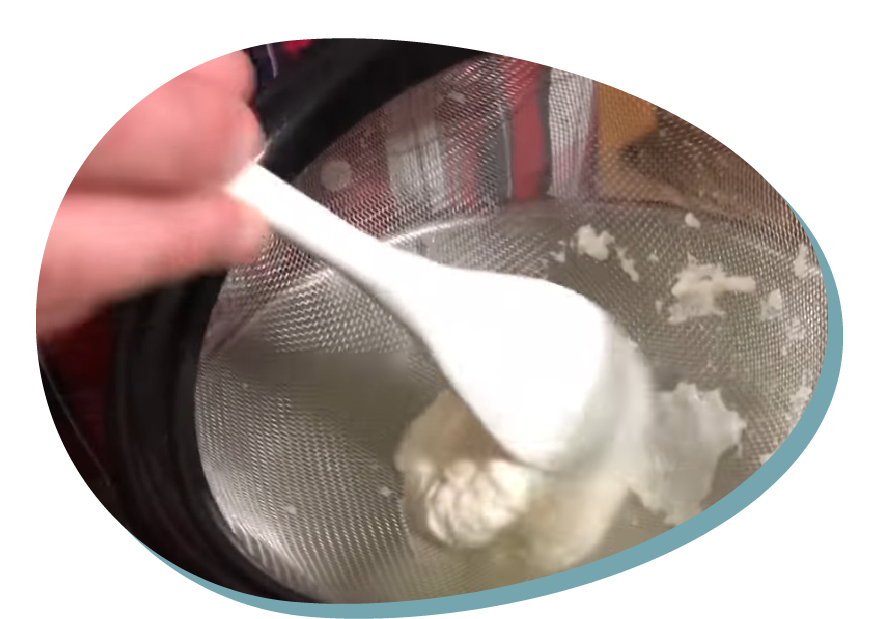 Making Glue from milk
