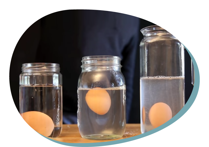 L’uovo sommozzatore in acqua salata